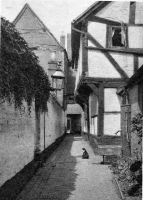 A pump, cat and gas lamp