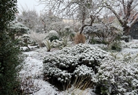 Genuine old-fashioned Winter!