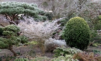 Genuine old-fashioned Winter!
