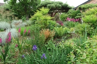 May Garden